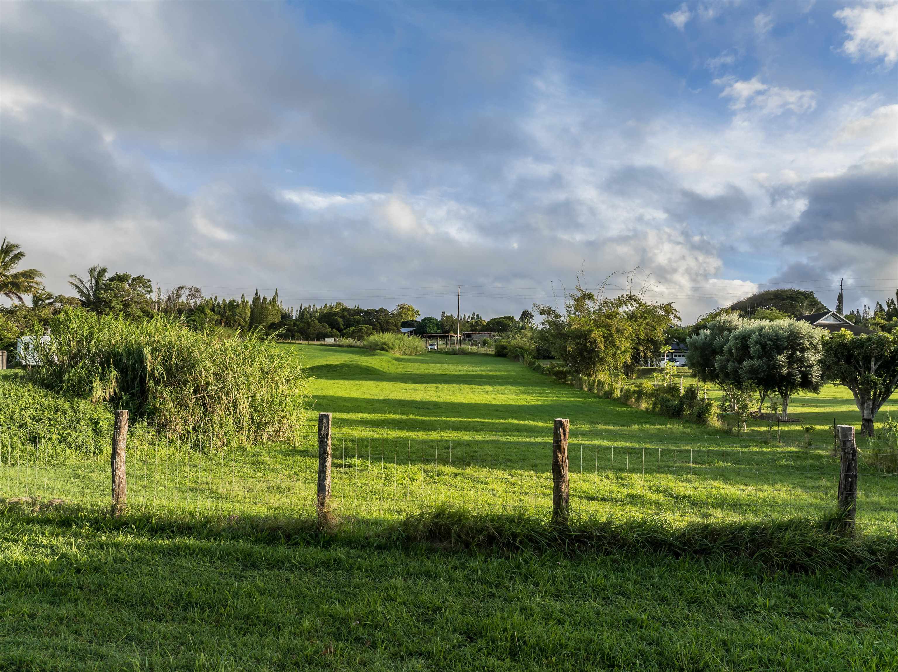 65 Uakoko Pl  Haiku, Hi vacant land for sale - photo 11 of 17