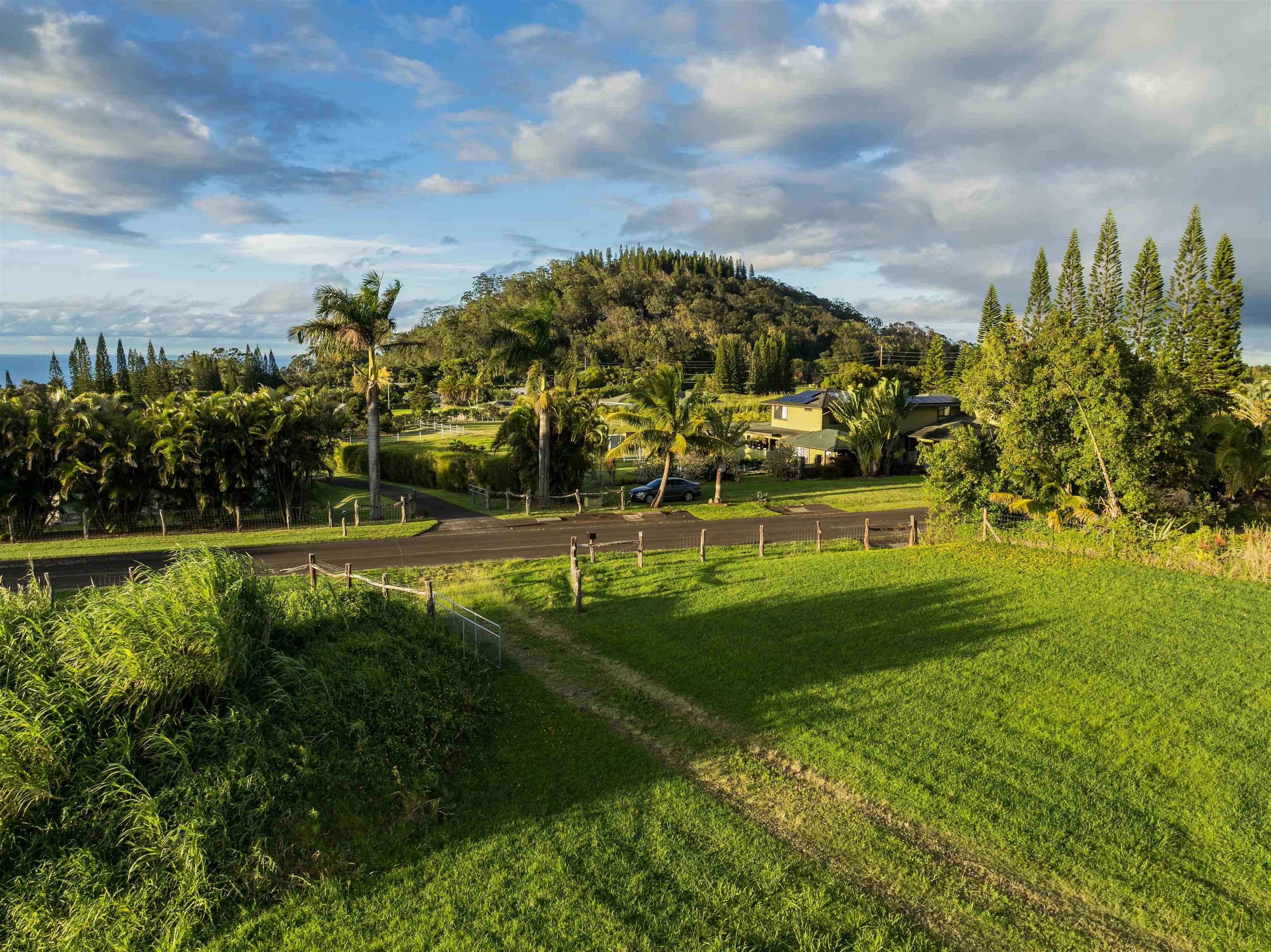 65 Uakoko Pl  Haiku, Hi vacant land for sale - photo 4 of 17