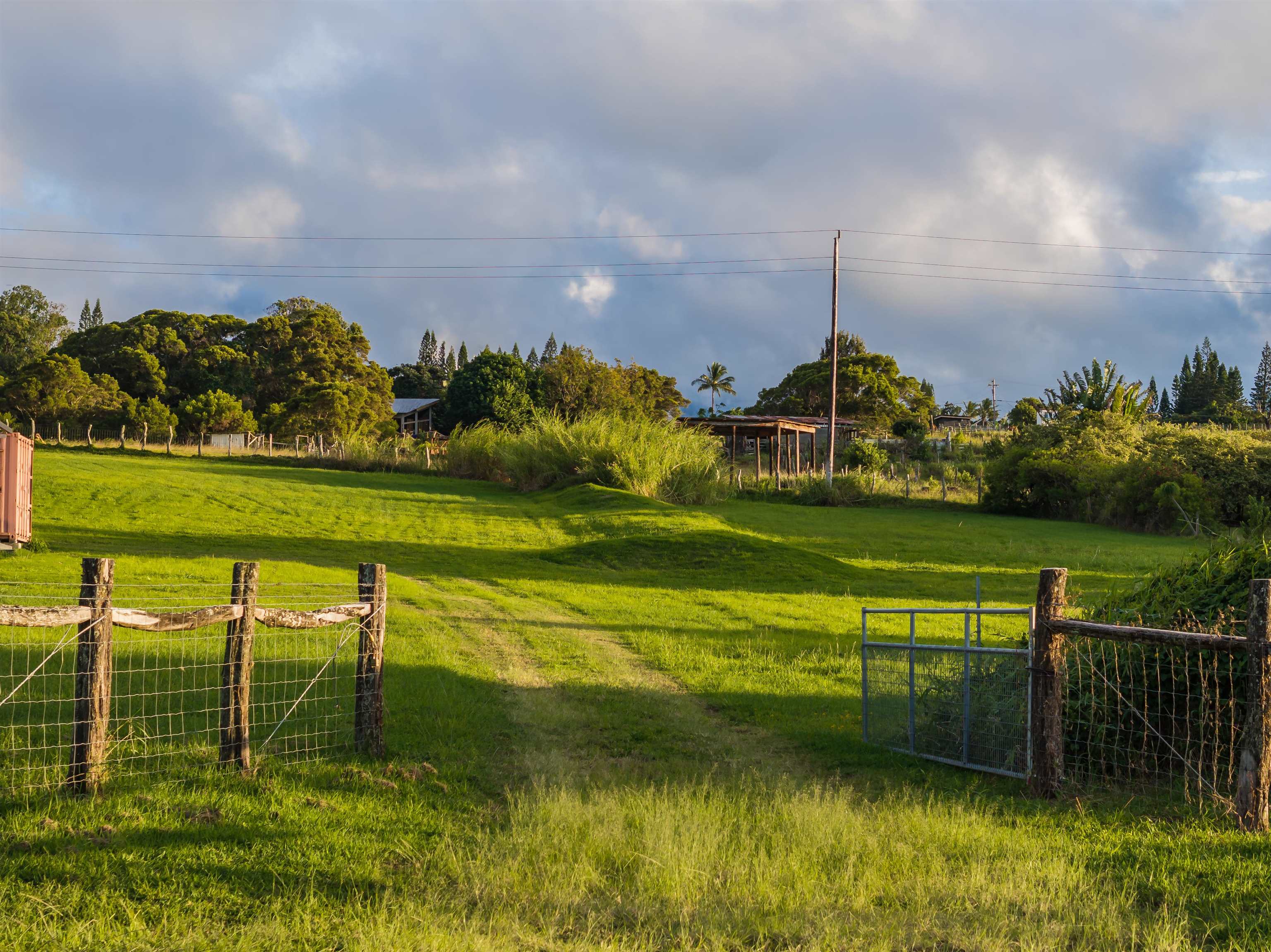 65 Uakoko Pl  Haiku, Hi vacant land for sale - photo 5 of 17