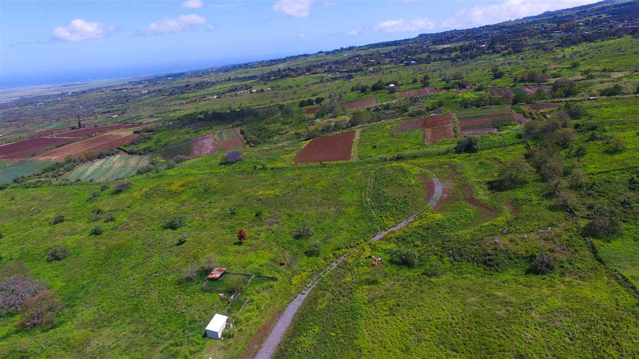 650 Calasa Rd A Kula, Hi vacant land for sale - photo 10 of 26