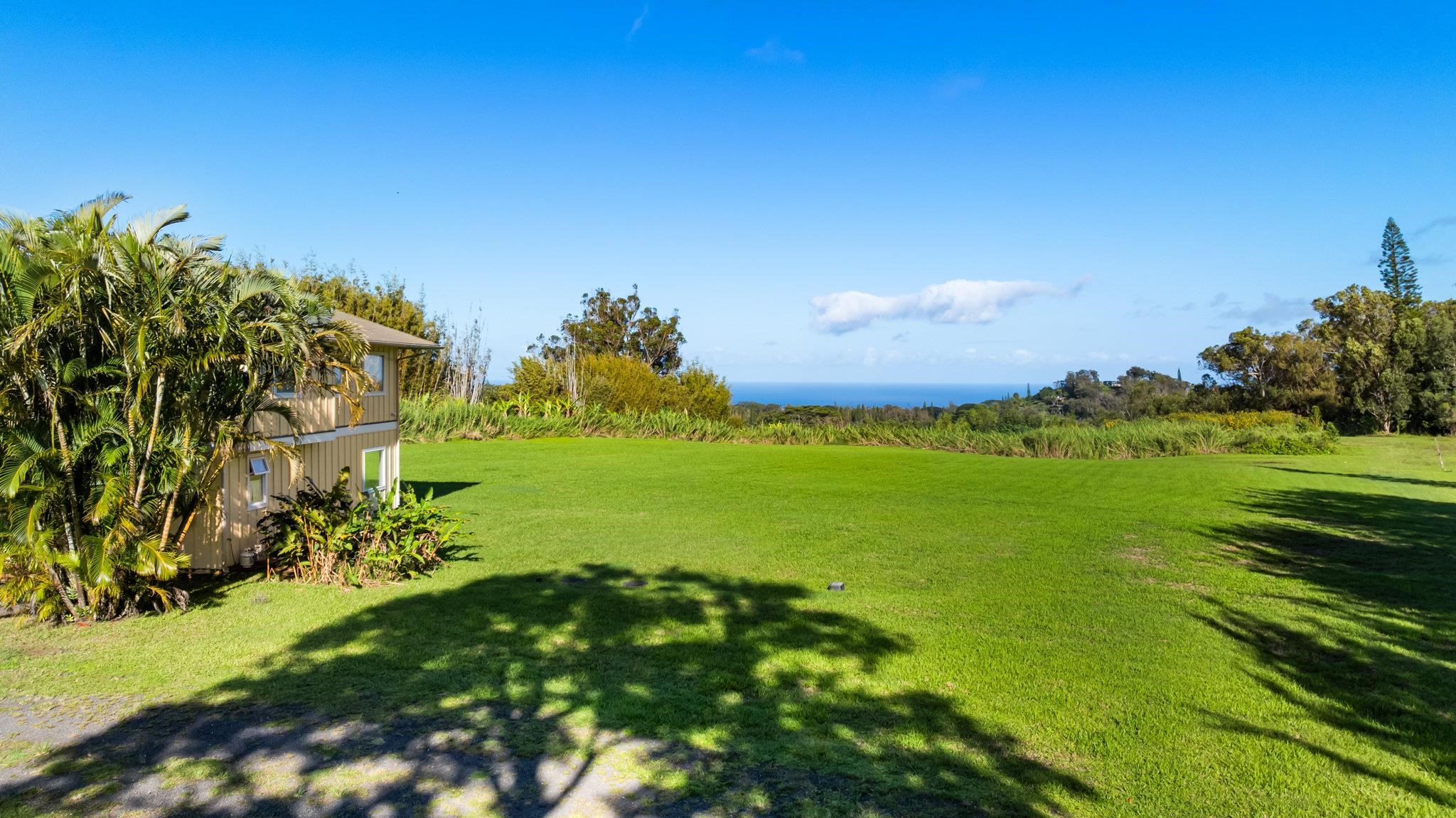 654  Kaupakalua Rd Five Corners, Haiku home - photo 3 of 41