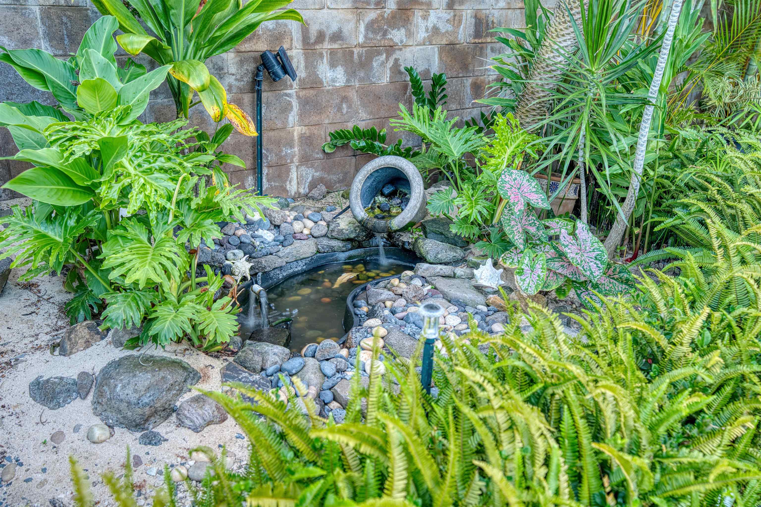 656  Alu Rd Wailuku Heights, Wailuku home - photo 6 of 49