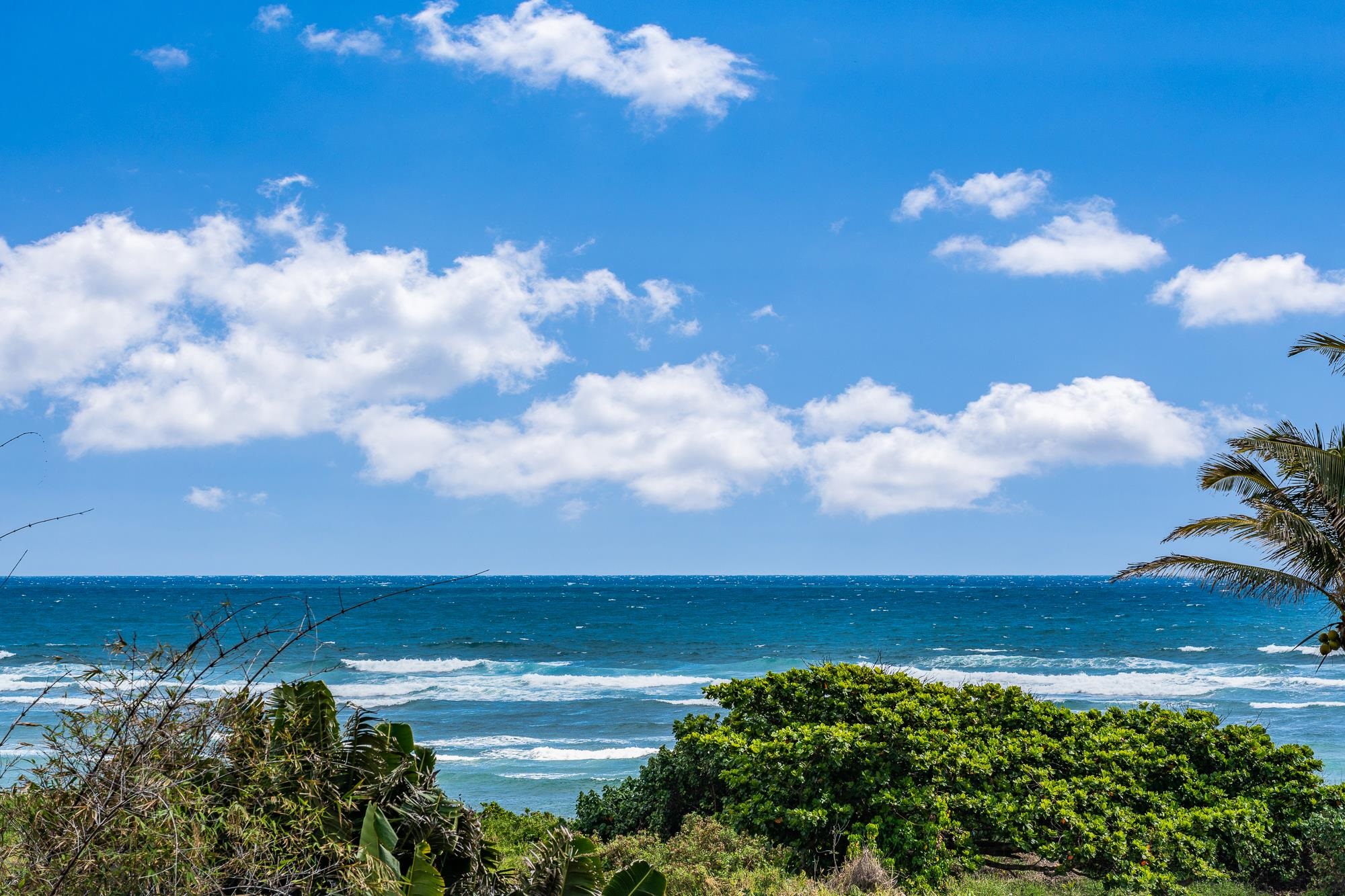 658  Waiehu Beach Rd Paukukalo  Waiehu,  home - photo 1 of 37