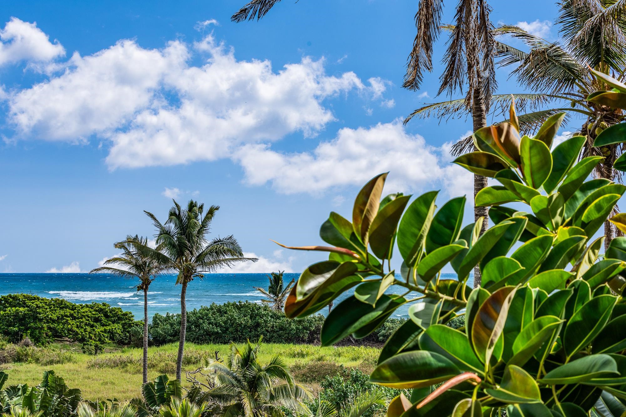 658  Waiehu Beach Rd Paukukalo  Waiehu, Wailuku home - photo 30 of 37