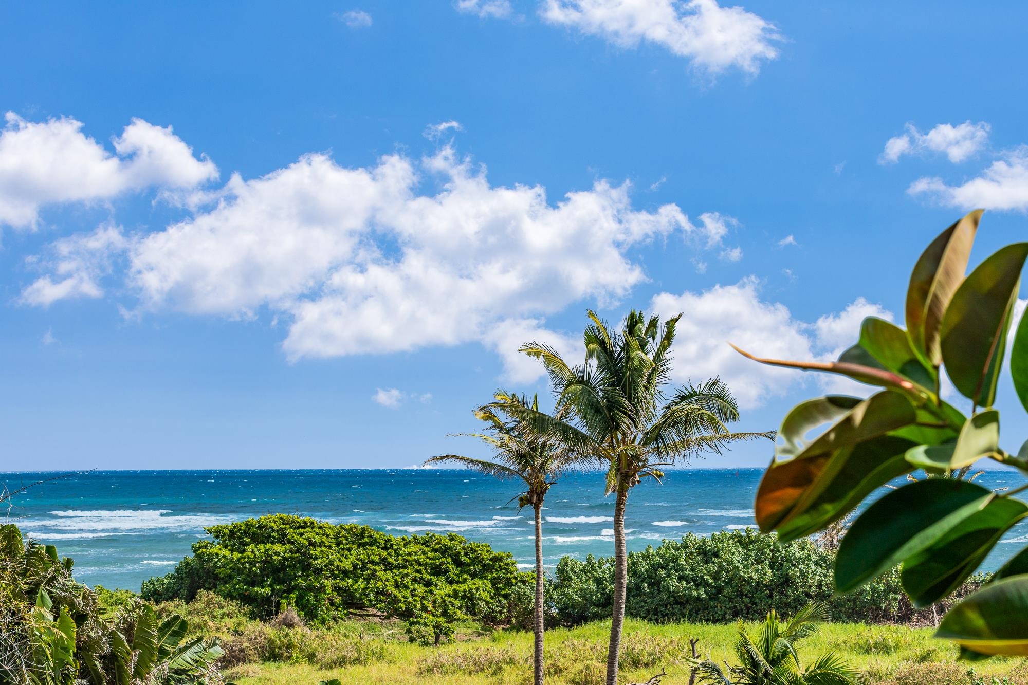 658  Waiehu Beach Rd Paukukalo  Waiehu, Wailuku home - photo 10 of 37