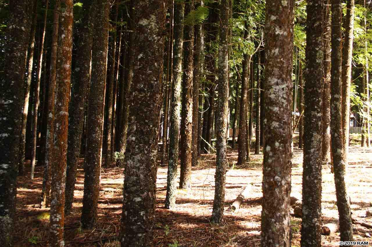 66 Kahakapao Rd A Makawao, Hi vacant land for sale - photo 14 of 15