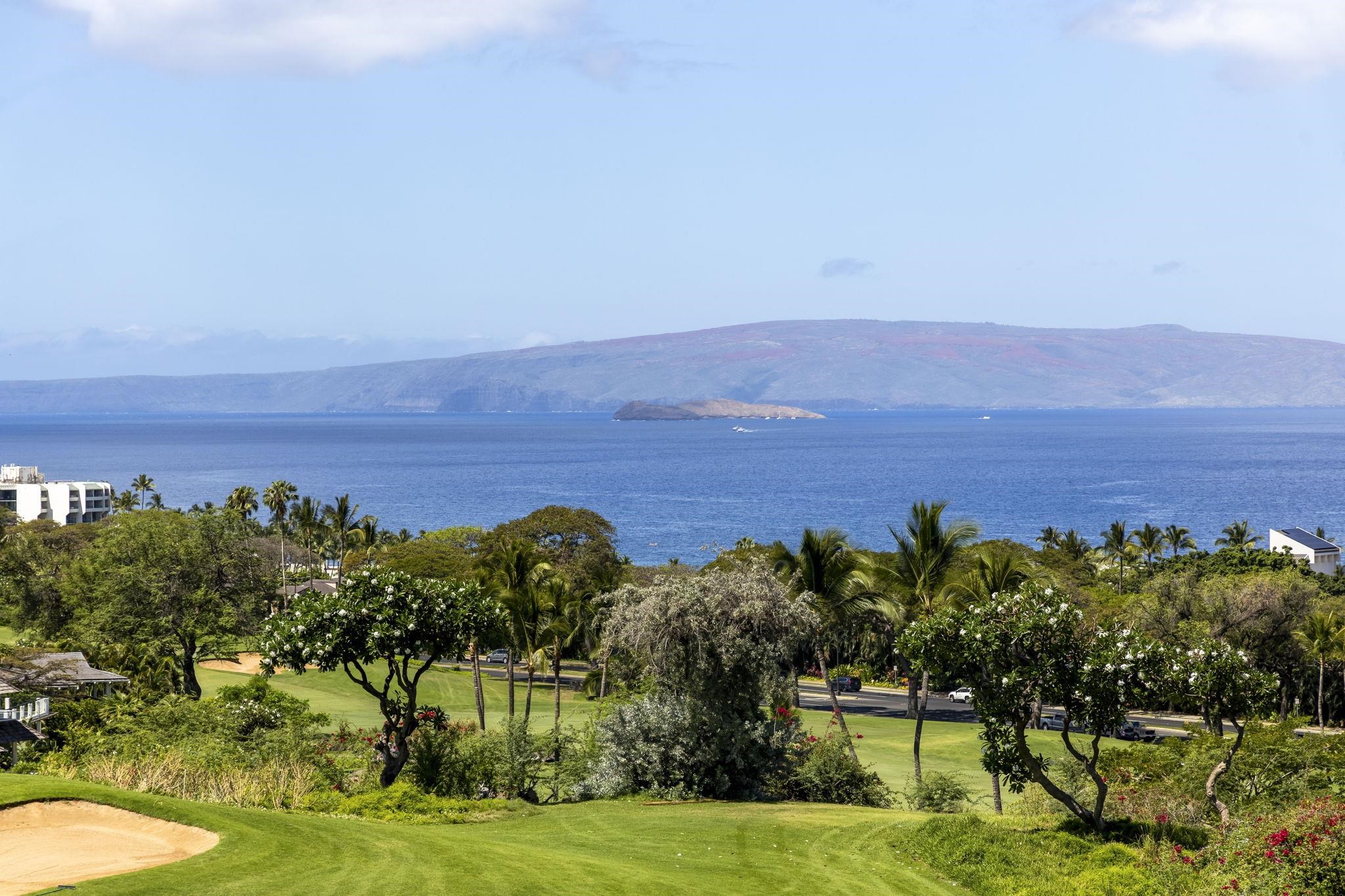 La'i Loa condo # 201 (12C), Kihei, Hawaii - photo 32 of 50