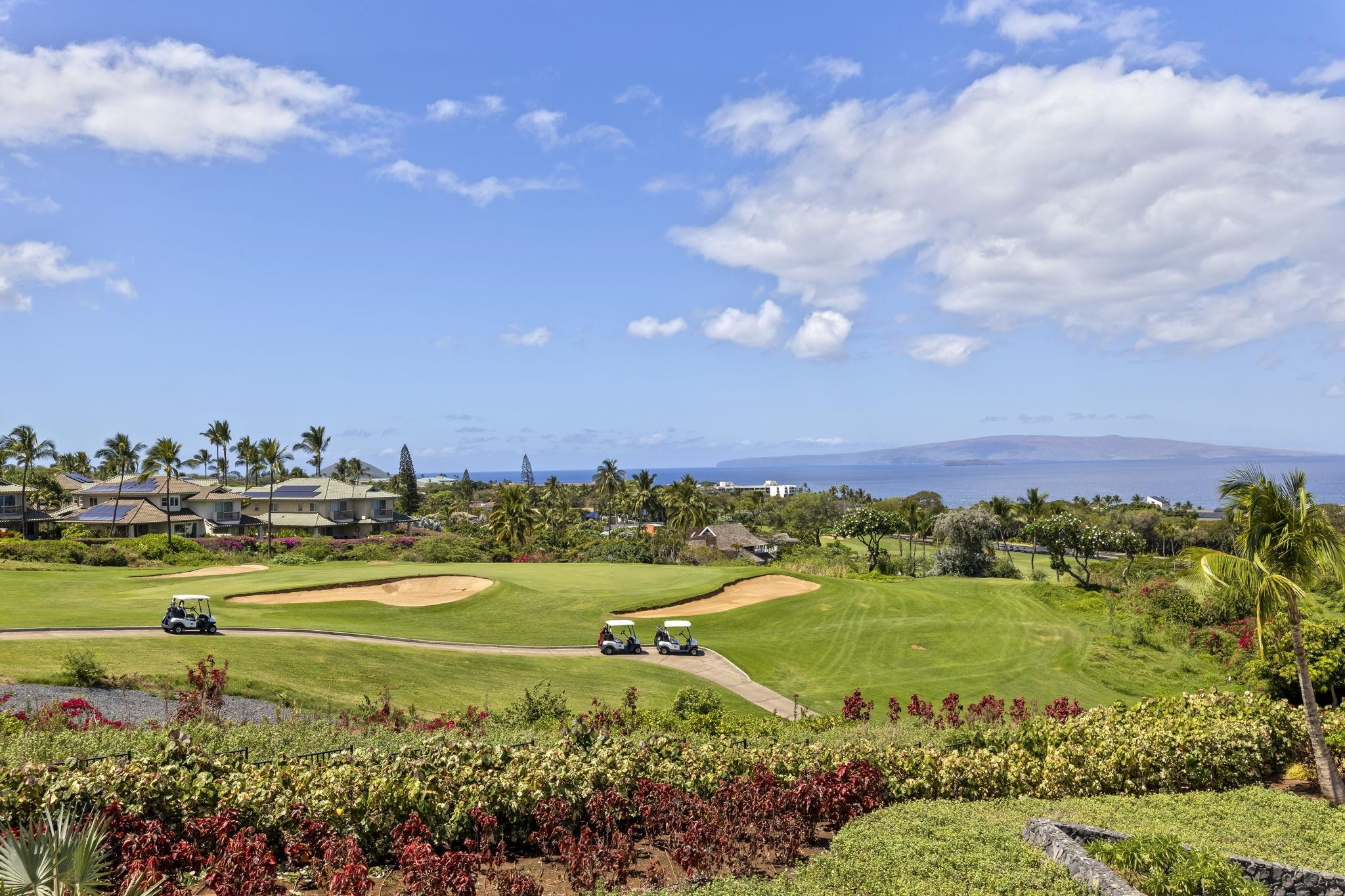 La'i Loa condo # 201 (12C), Kihei, Hawaii - photo 33 of 50