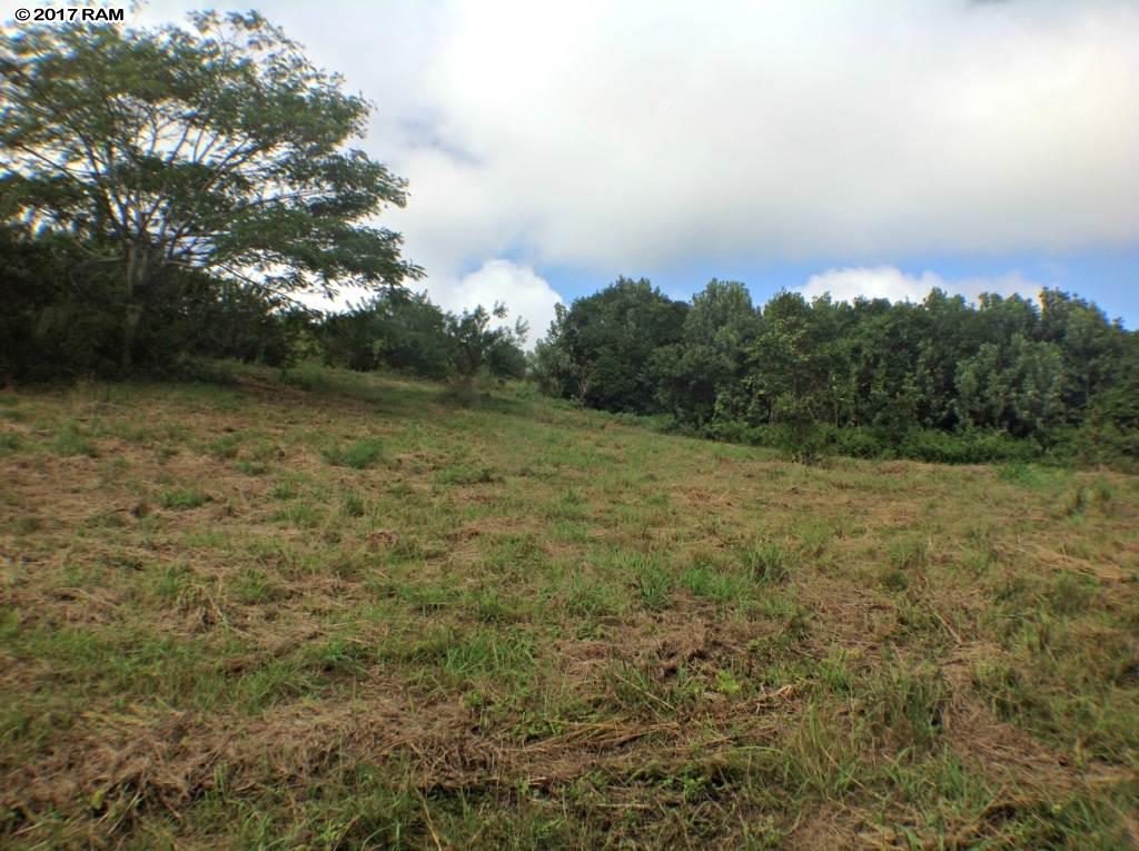 66 Lahaole Pl 40-A Wailuku, Hi vacant land for sale - photo 13 of 30