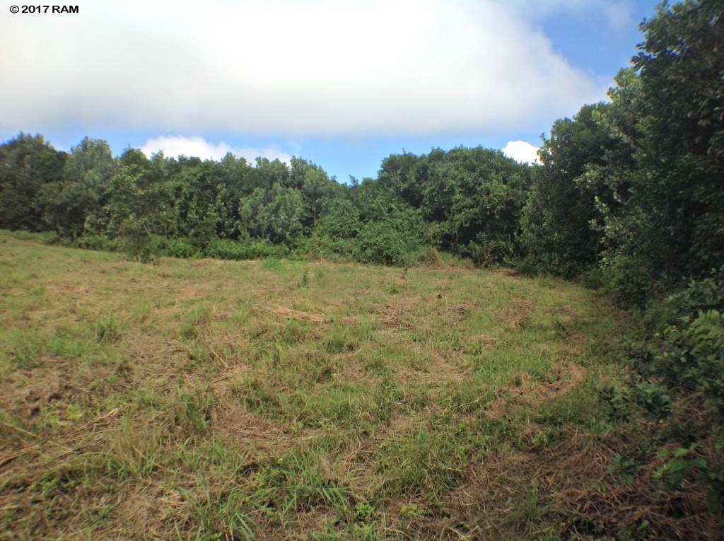 66 Lahaole Pl 40-A Wailuku, Hi vacant land for sale - photo 14 of 30