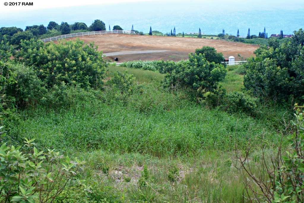 66 Lahaole Pl 40-A Wailuku, Hi vacant land for sale - photo 19 of 30