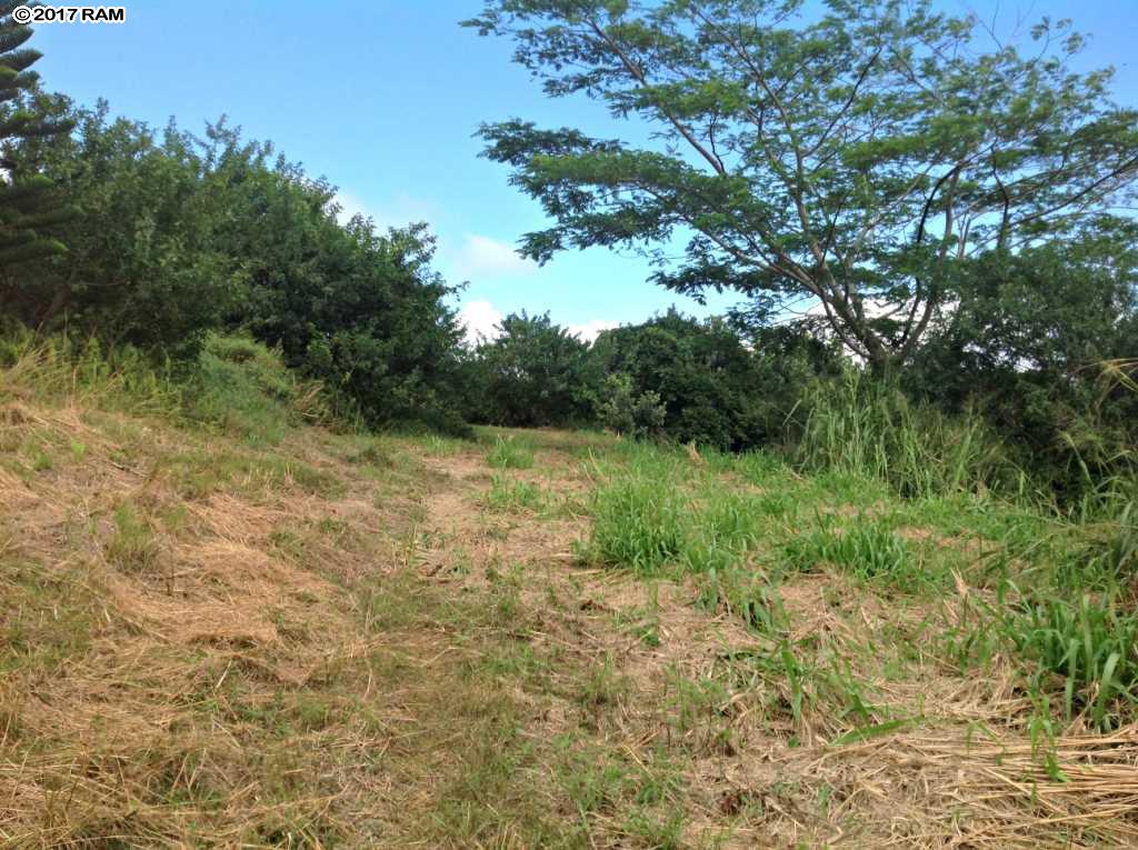 66 Lahaole Pl 40-A Wailuku, Hi vacant land for sale - photo 7 of 30