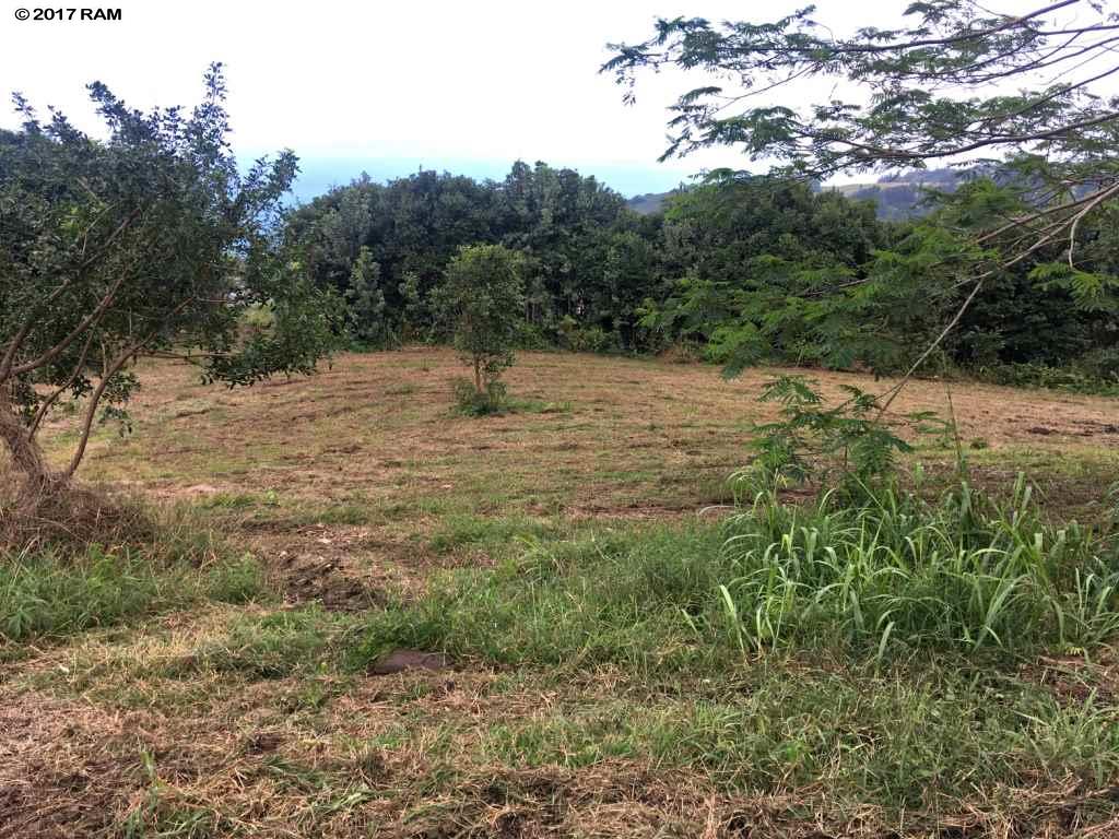 66 Lahaole Pl 40-A Wailuku, Hi vacant land for sale - photo 8 of 30