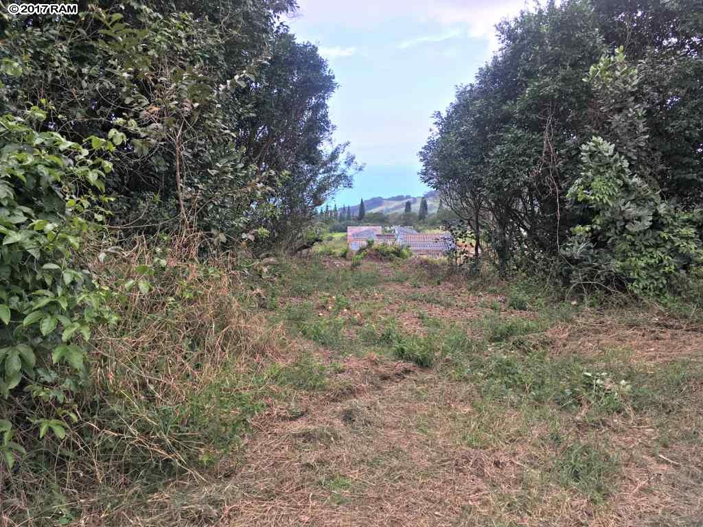 66 Lahaole Pl 40-A Wailuku, Hi vacant land for sale - photo 10 of 30