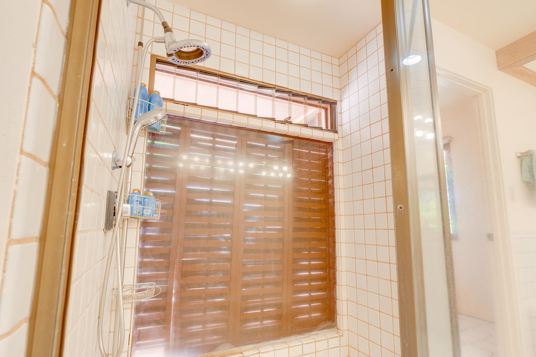 66  Puu Hale St Kaanapali, Kaanapali home - photo 30 of 50