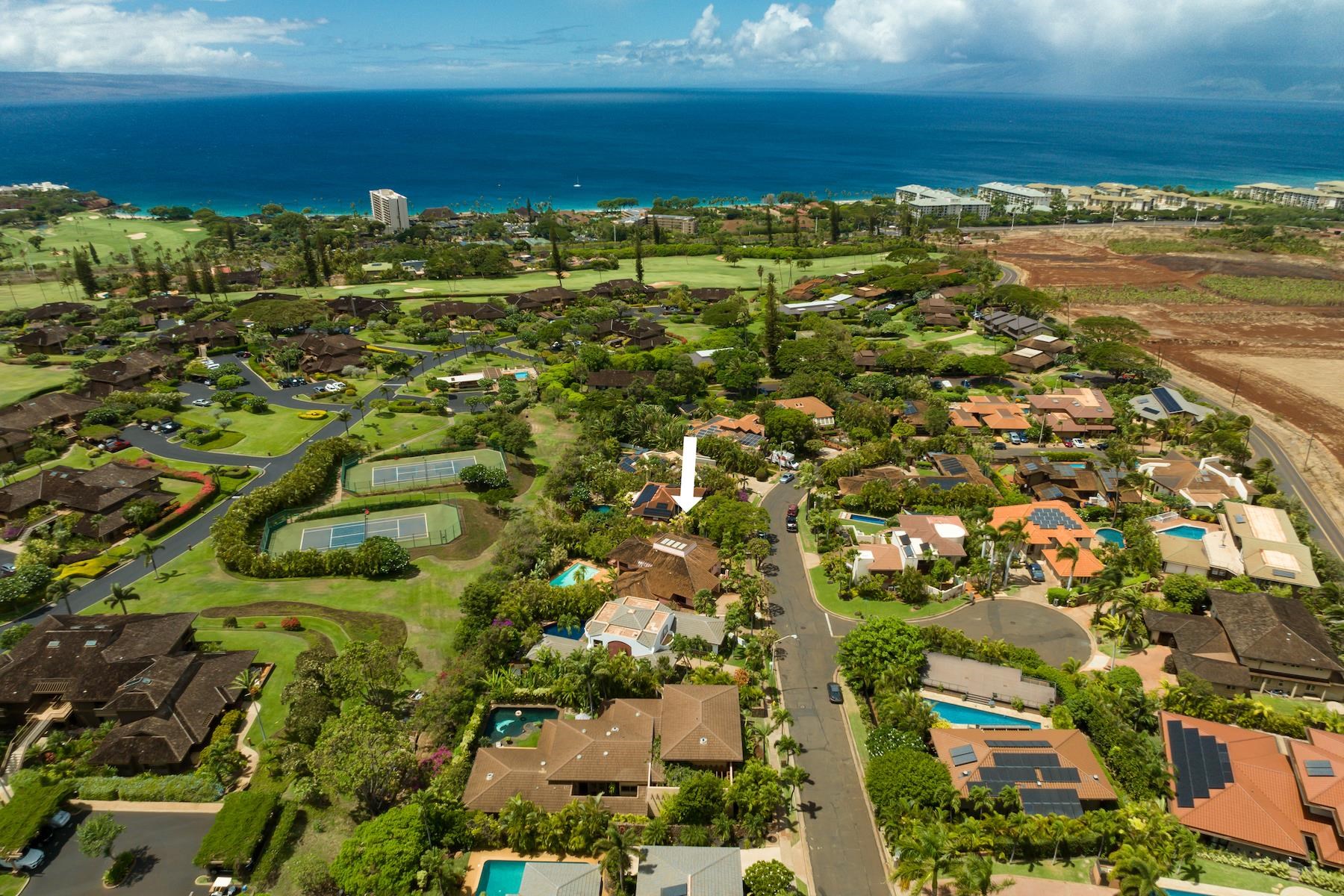 66  Puu Hale St Kaanapali, Kaanapali home - photo 8 of 50