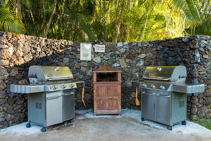 aina-nalu condo # B110, Lahaina, Hawaii - photo 27 of 30