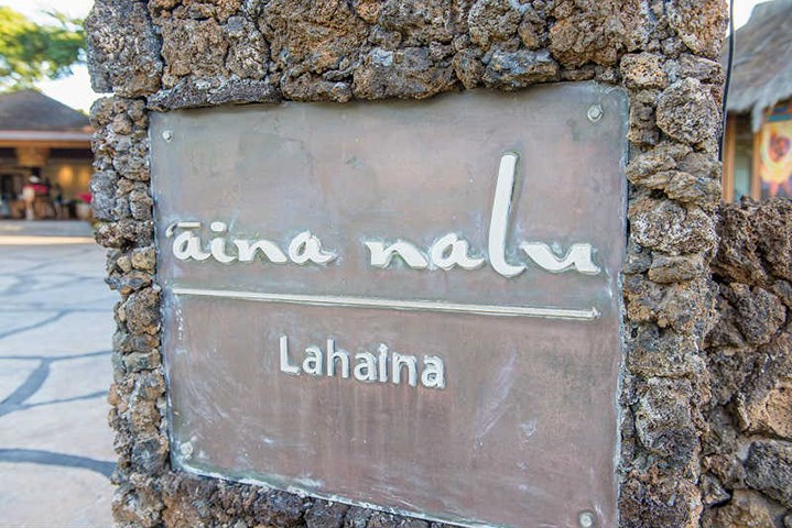 aina-nalu condo # B110, Lahaina, Hawaii - photo 29 of 30