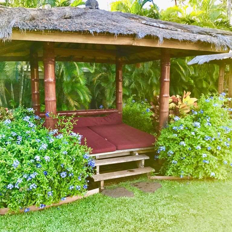 aina-nalu condo # C203, Lahaina, Hawaii - photo 21 of 26