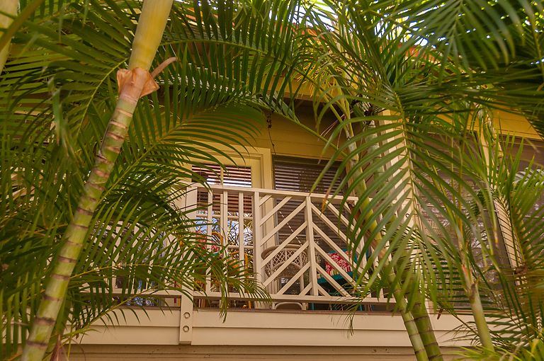 aina-nalu condo # C203, Lahaina, Hawaii - photo 24 of 26