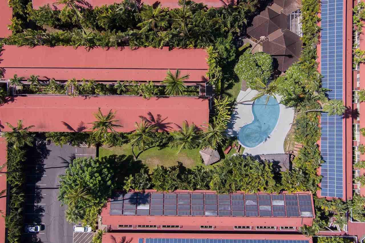 aina-nalu condo # C208, Lahaina, Hawaii - photo 25 of 27