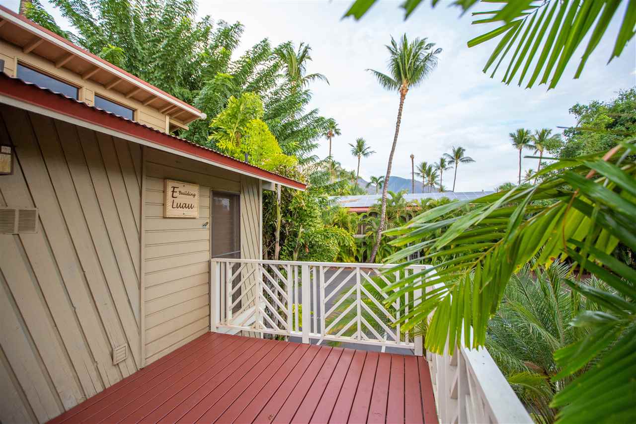 aina-nalu condo # E201, Lahaina, Hawaii - photo 18 of 30