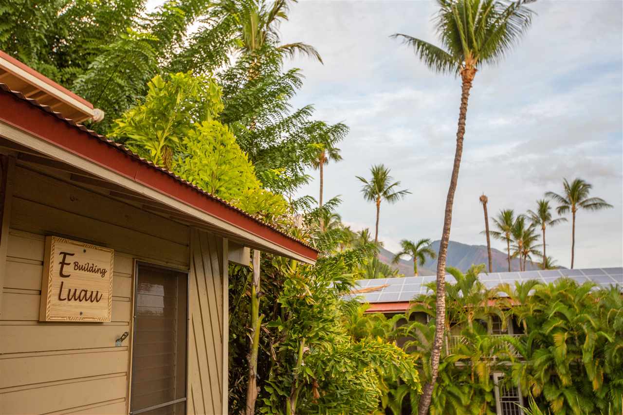aina-nalu condo # E201, Lahaina, Hawaii - photo 19 of 30