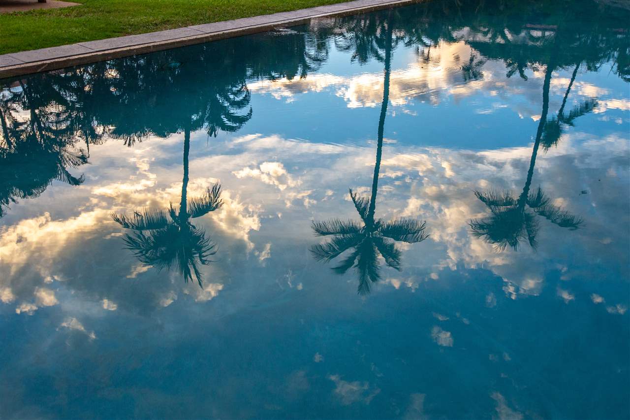 aina-nalu condo # E201, Lahaina, Hawaii - photo 4 of 30