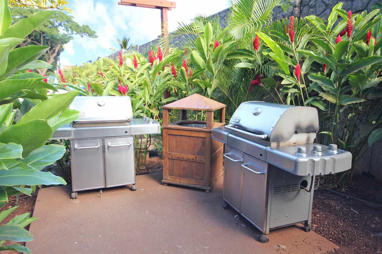 aina-nalu condo # G102, Lahaina, Hawaii - photo 24 of 24