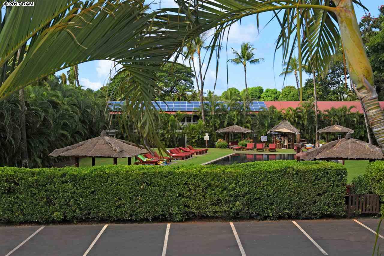aina-nalu condo # I-202, Lahaina, Hawaii - photo 10 of 30