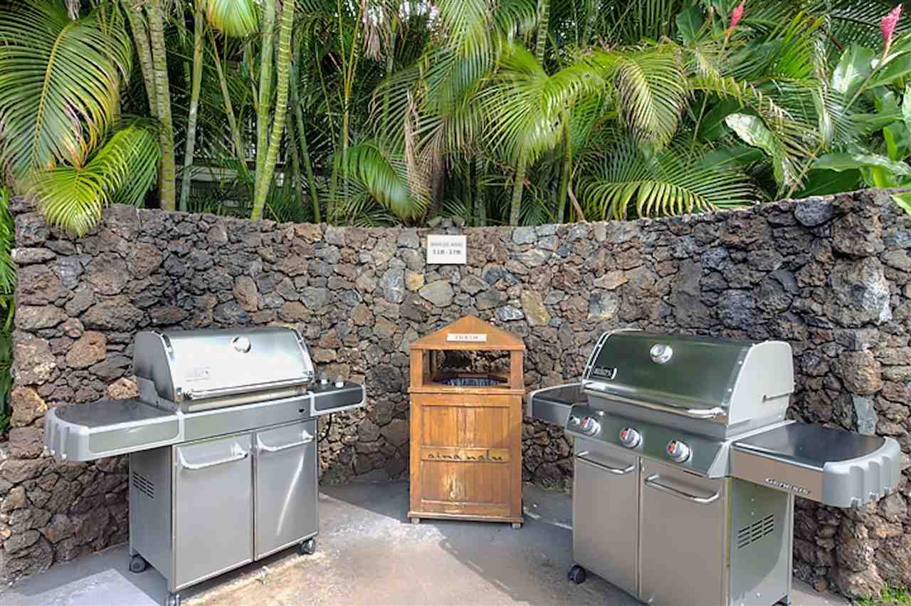 aina-nalu condo # I203, Lahaina, Hawaii - photo 26 of 30