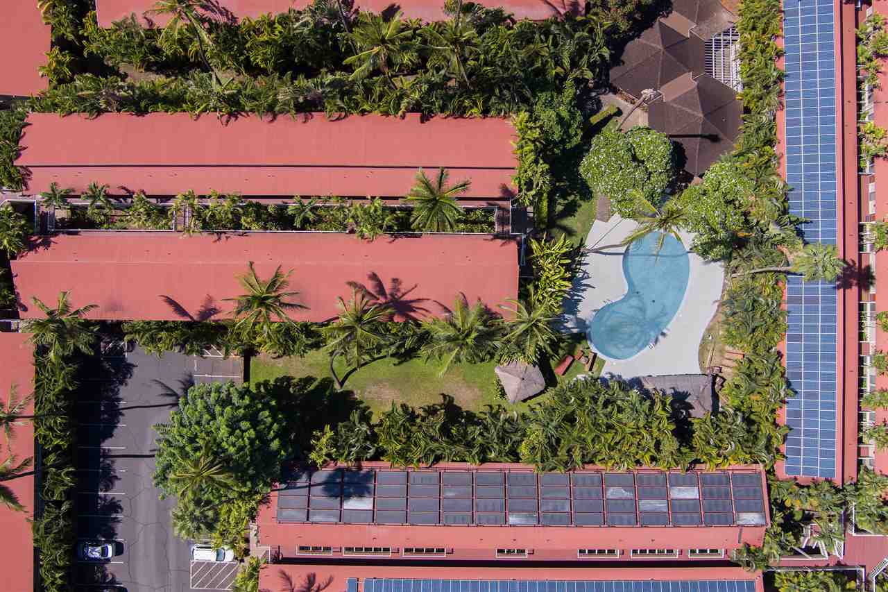 aina-nalu condo # K201, Lahaina, Hawaii - photo 24 of 29