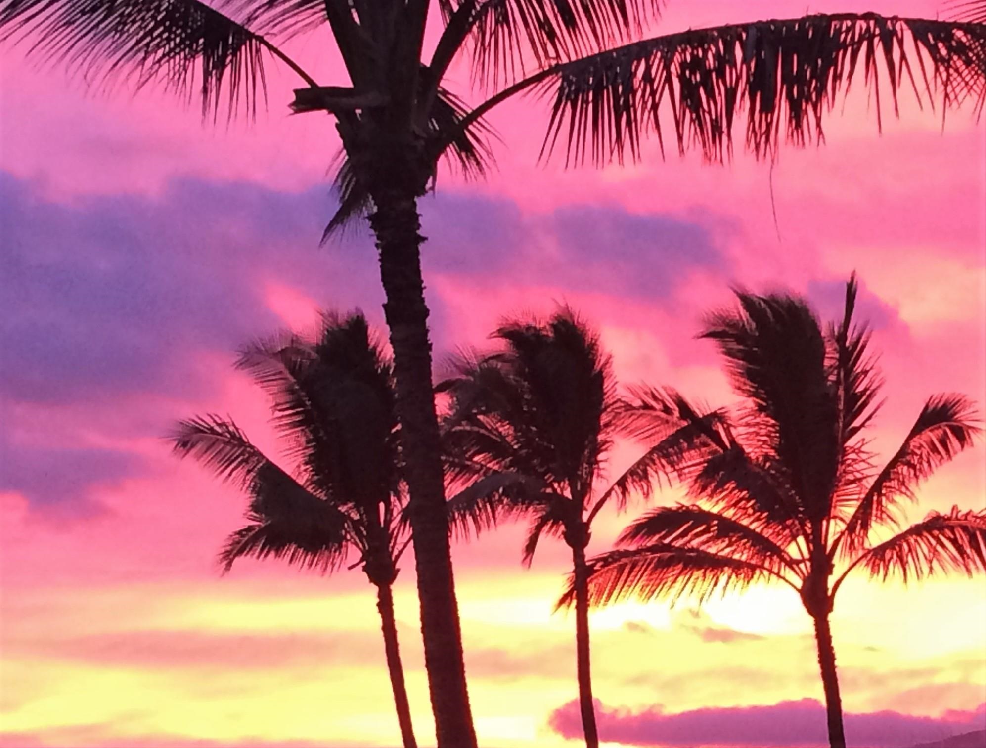 Kehalani Gardens condo # 701, Wailuku, Hawaii - photo 49 of 49