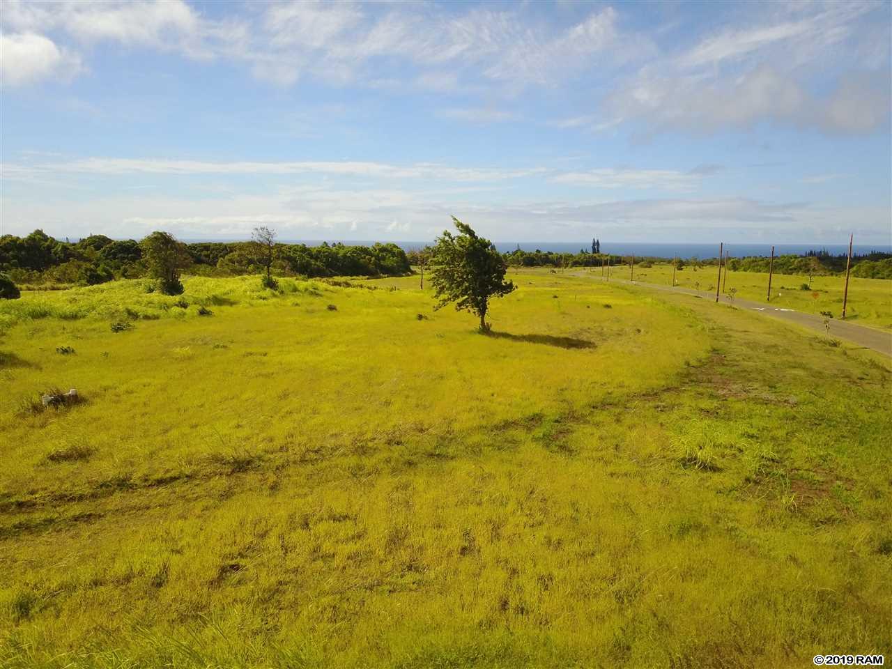 665 Kauaheahe Pl Lot 3-C Haiku, Hi vacant land for sale - photo 6 of 7