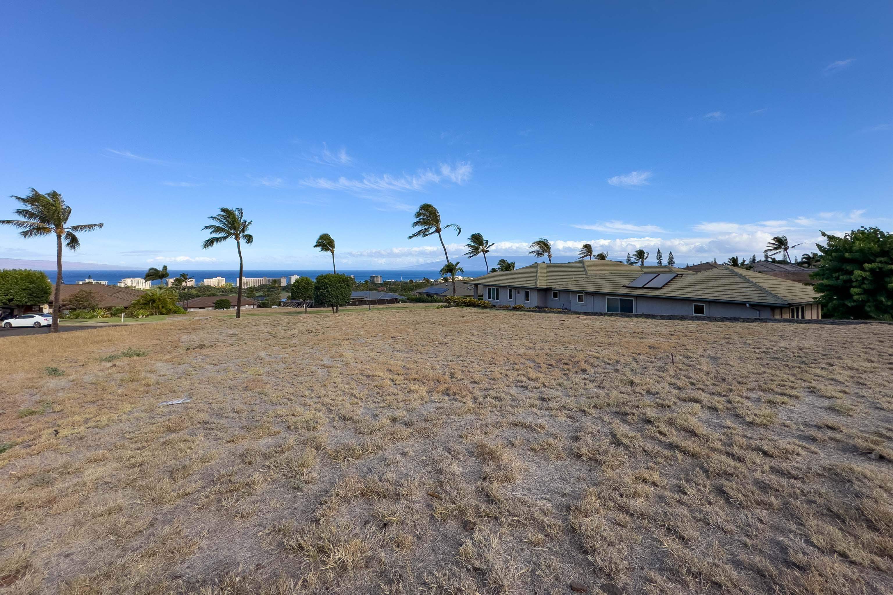 67 Kaulele Pl  Lahaina, Hi vacant land for sale - photo 11 of 25