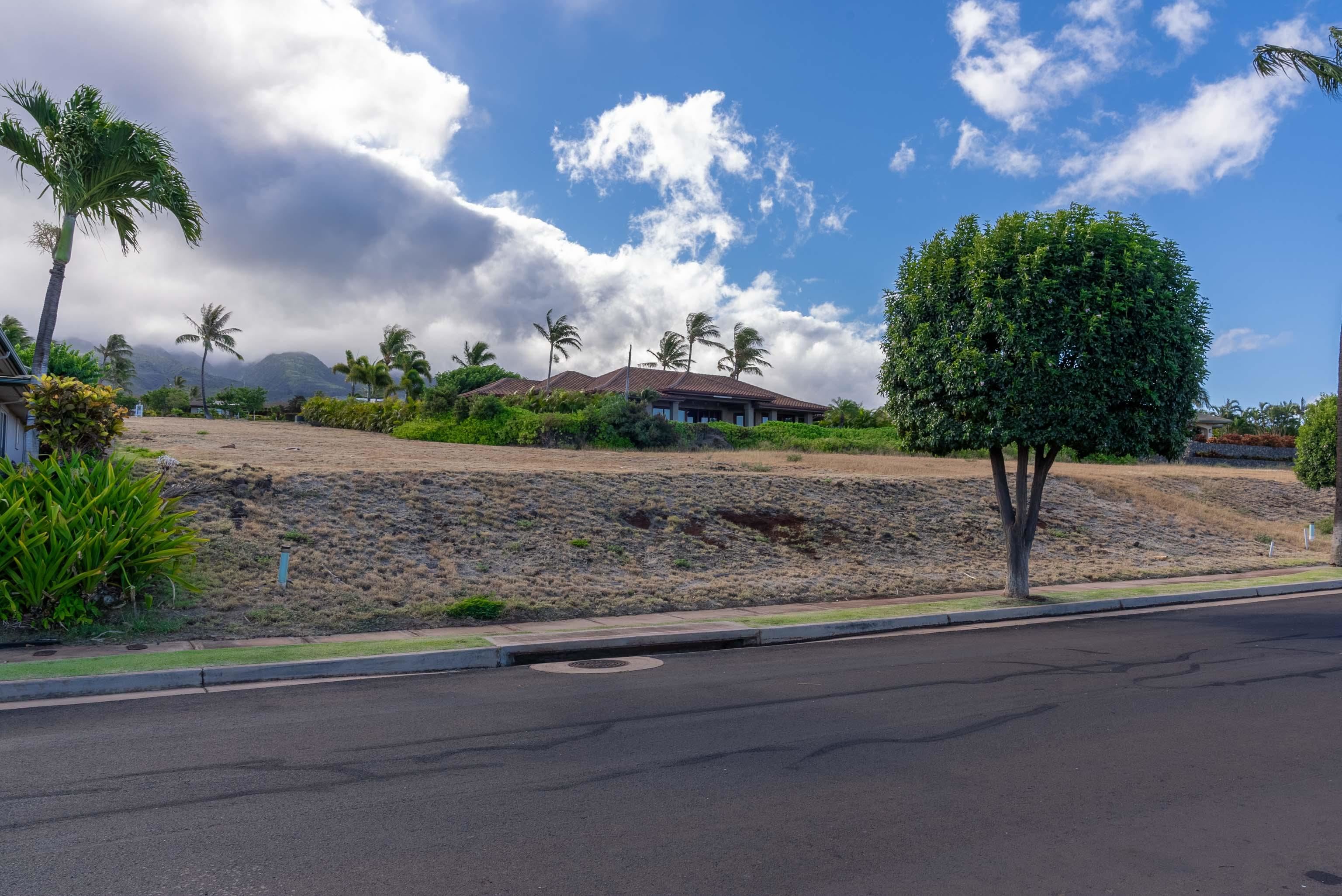 67 Kaulele Pl  Lahaina, Hi vacant land for sale - photo 12 of 25