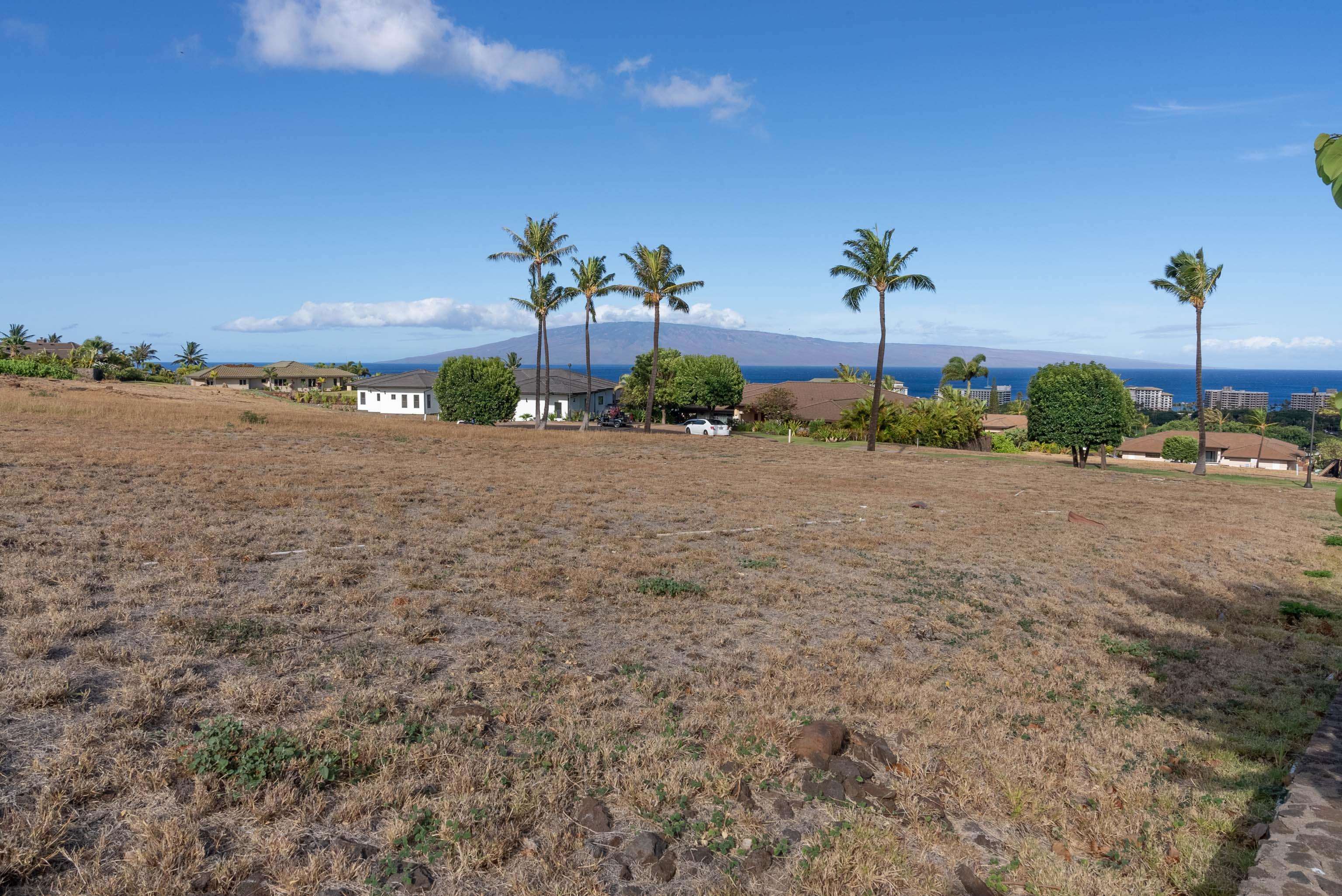 67 Kaulele Pl  Lahaina, Hi vacant land for sale - photo 6 of 25