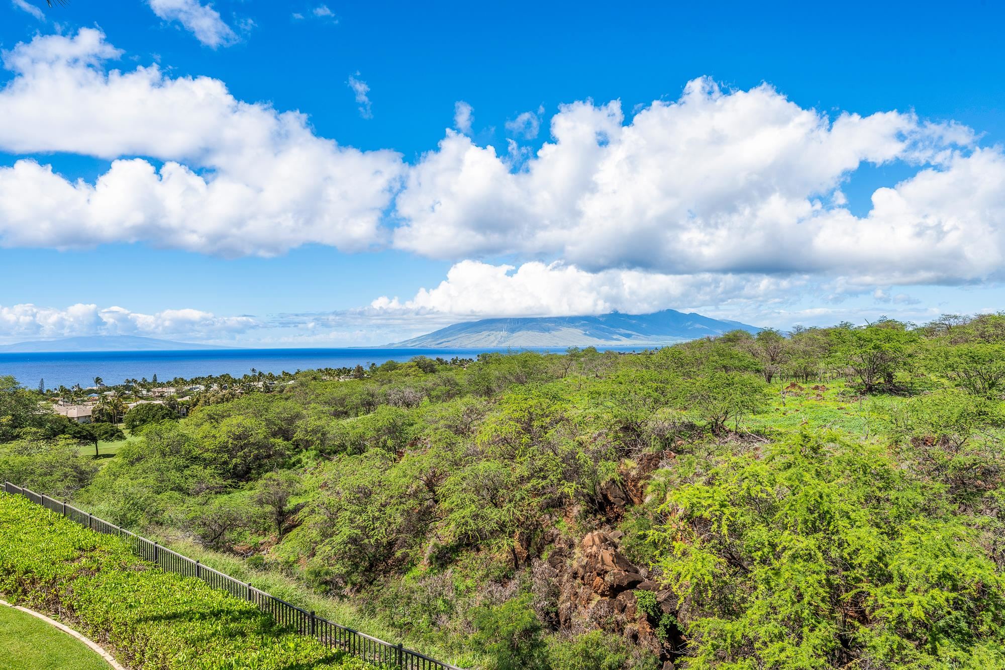 Keala O Wailea condo # 6-204, Kihei, Hawaii - photo 49 of 49