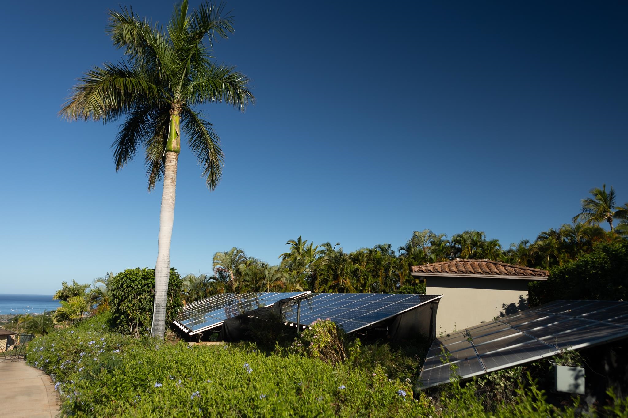 67  Wili Okai Way Puunoa, Lahaina home - photo 45 of 47