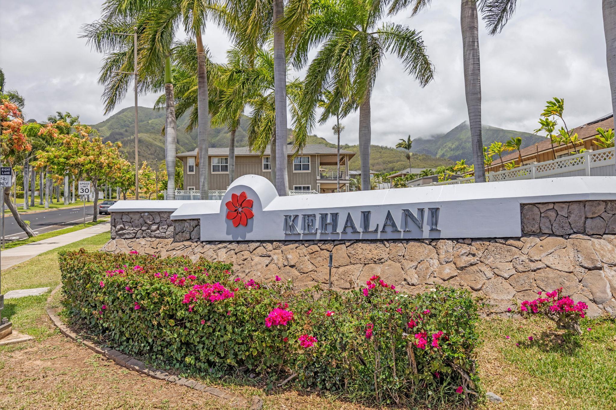 672  Komo Ohia St Komo Ohia, Wailuku home - photo 29 of 35