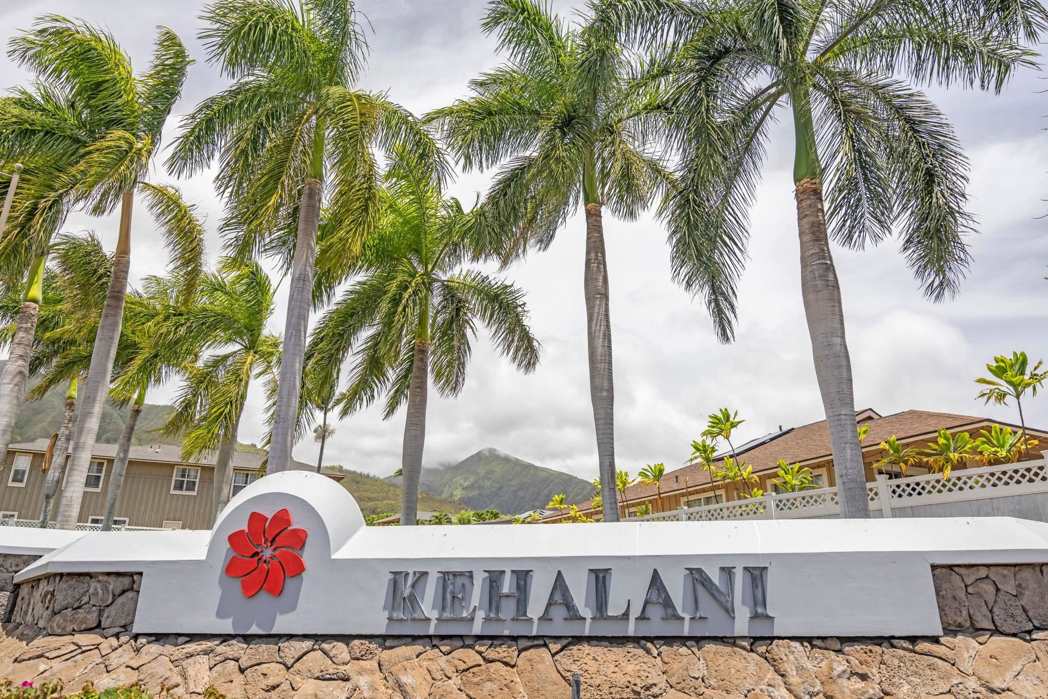 672  Komo Ohia St Komo Ohia, Wailuku home - photo 34 of 35