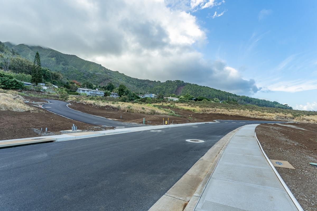 673 Kauna Lipo Dr 18 Wailuku, Hi vacant land for sale - photo 12 of 25