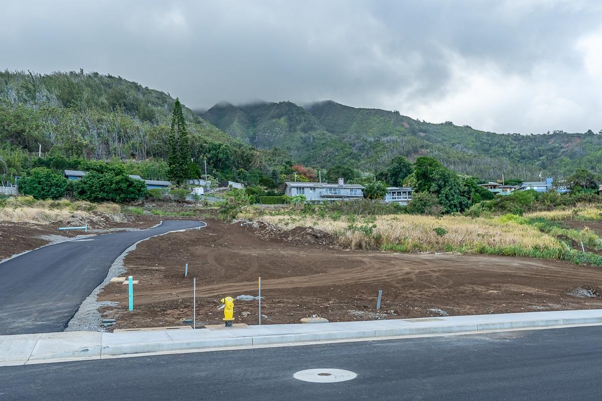 673 Kauna Lipo Dr 18 Wailuku, Hi vacant land for sale - photo 21 of 25