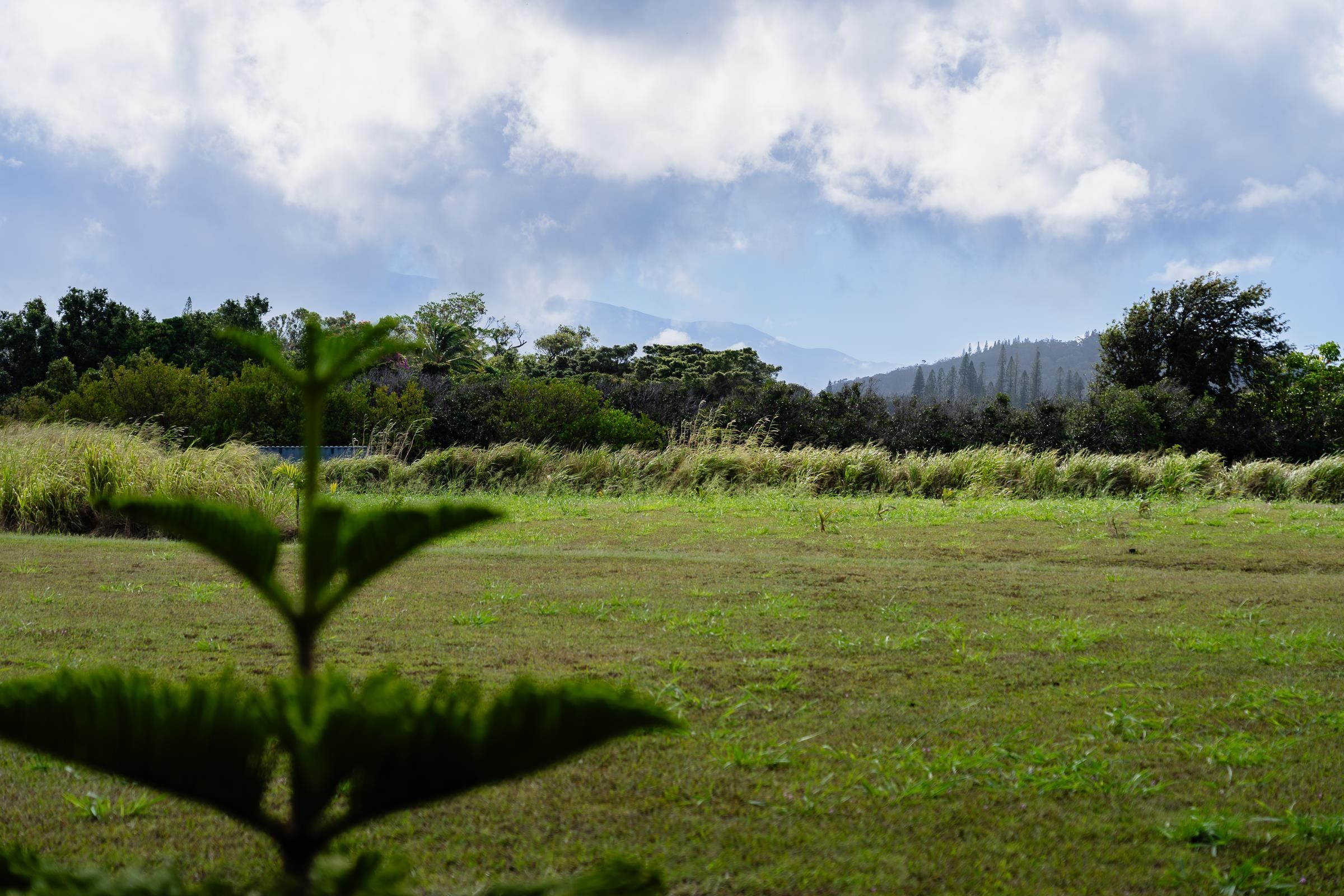 674 Kauaheahe Pl Unit A Haiku, Hi vacant land for sale - photo 5 of 22