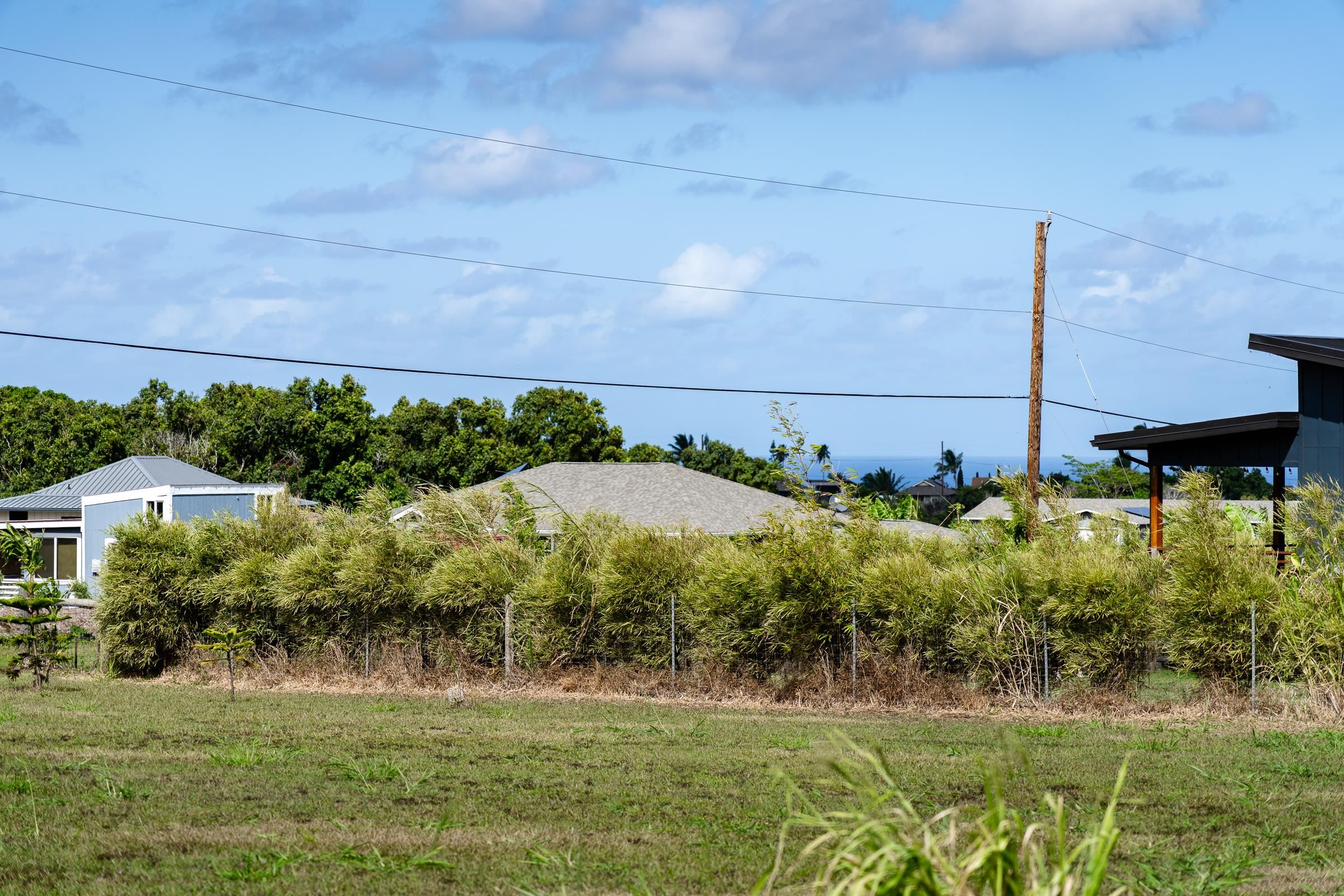 674 Kauaheahe Pl Unit A Haiku, Hi vacant land for sale - photo 10 of 22