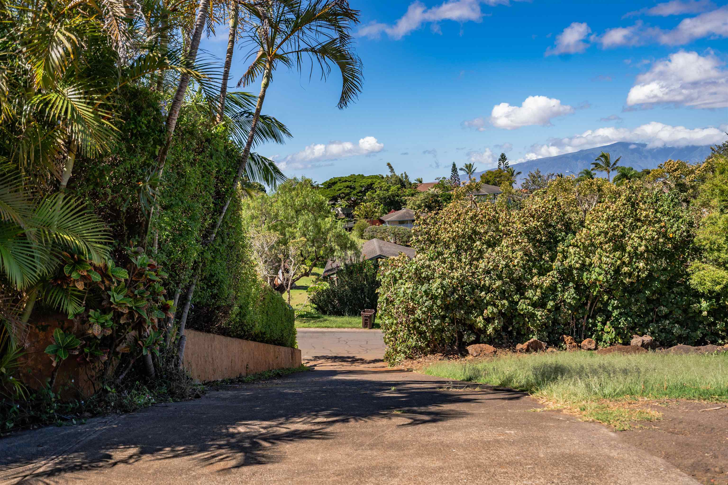 675  Hoene St Makawao, Makawao/Olinda/Haliimaile home - photo 16 of 23