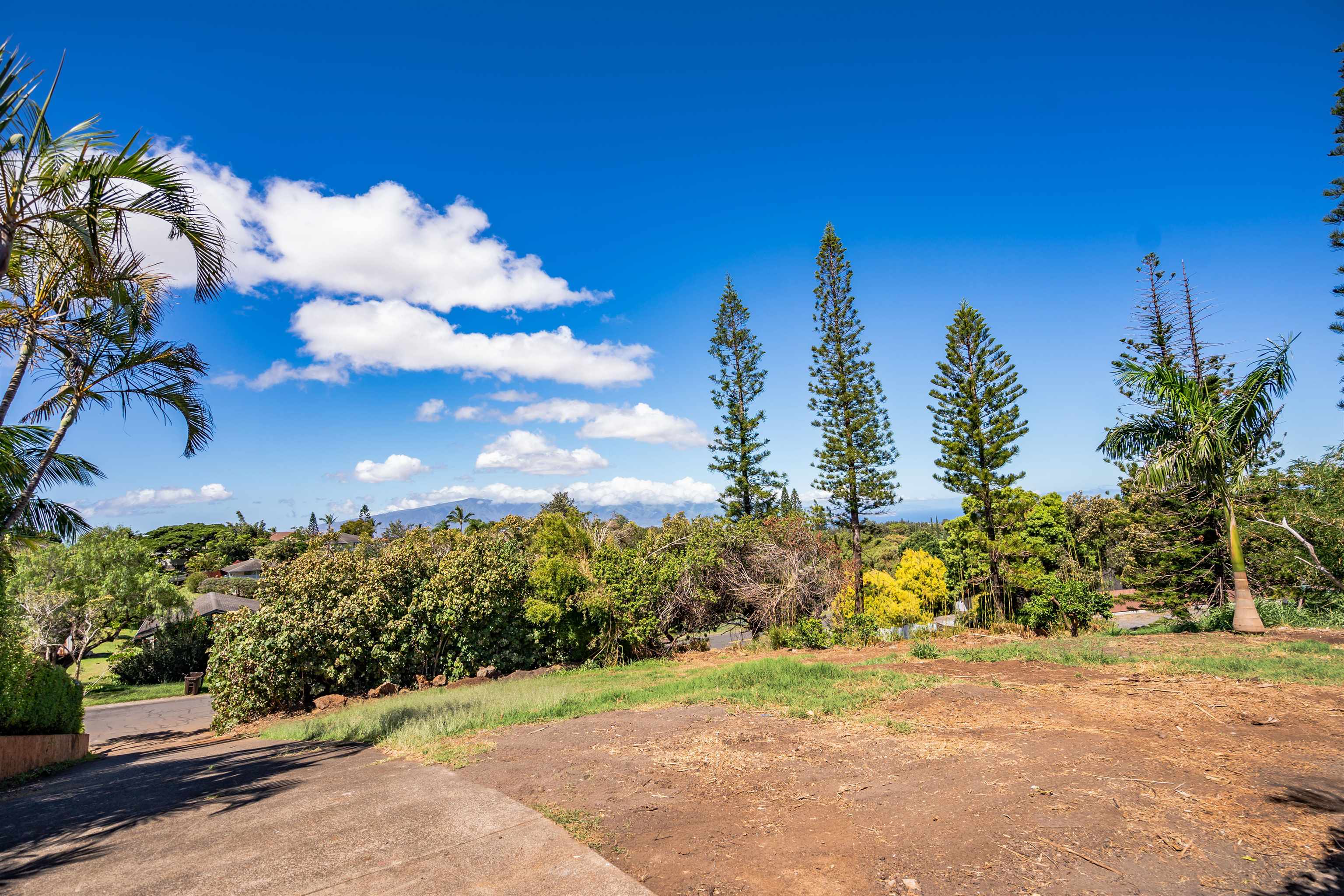 675  Hoene St Makawao, Makawao/Olinda/Haliimaile home - photo 17 of 23