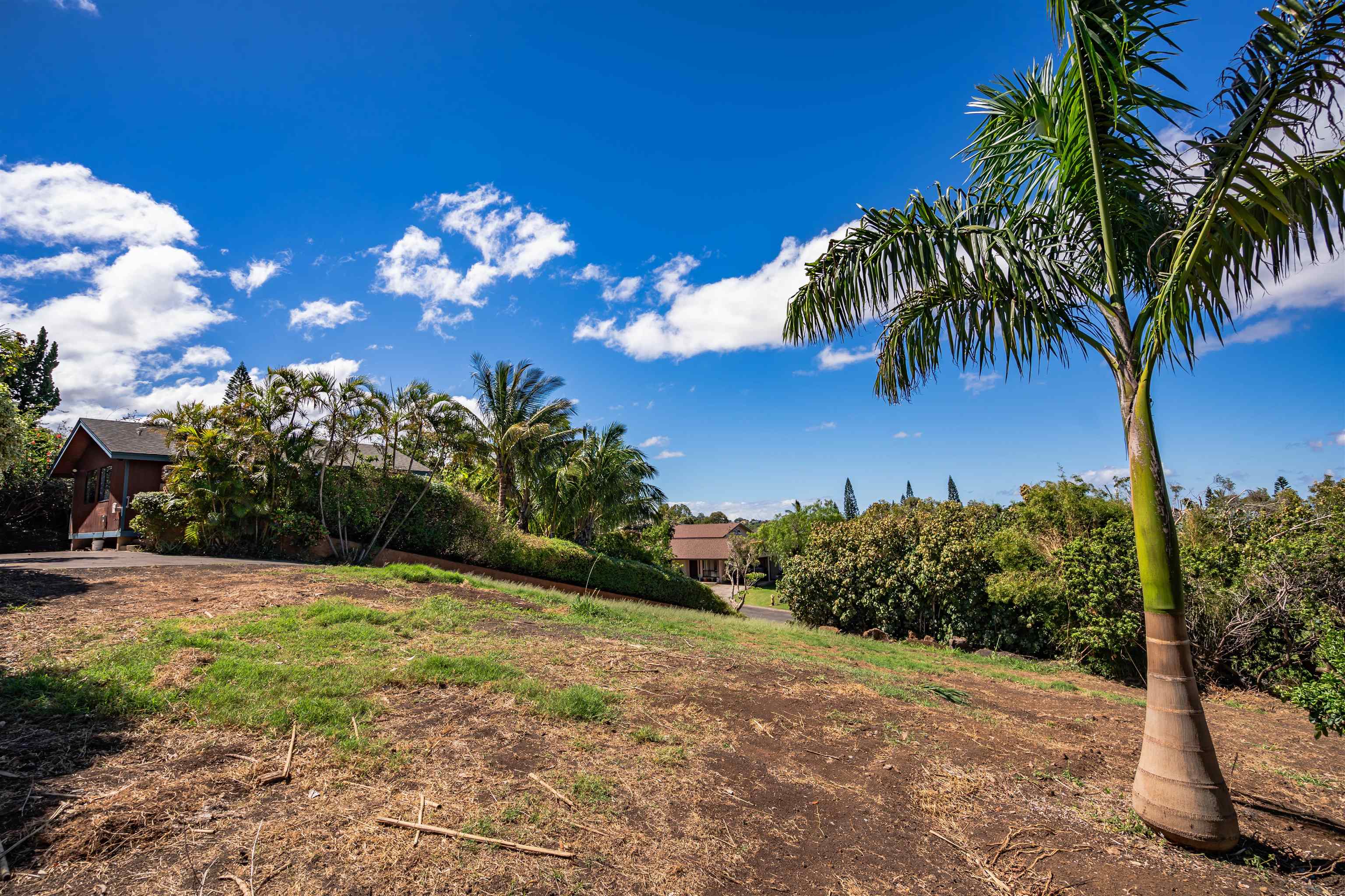 675  Hoene St Makawao, Makawao/Olinda/Haliimaile home - photo 18 of 23