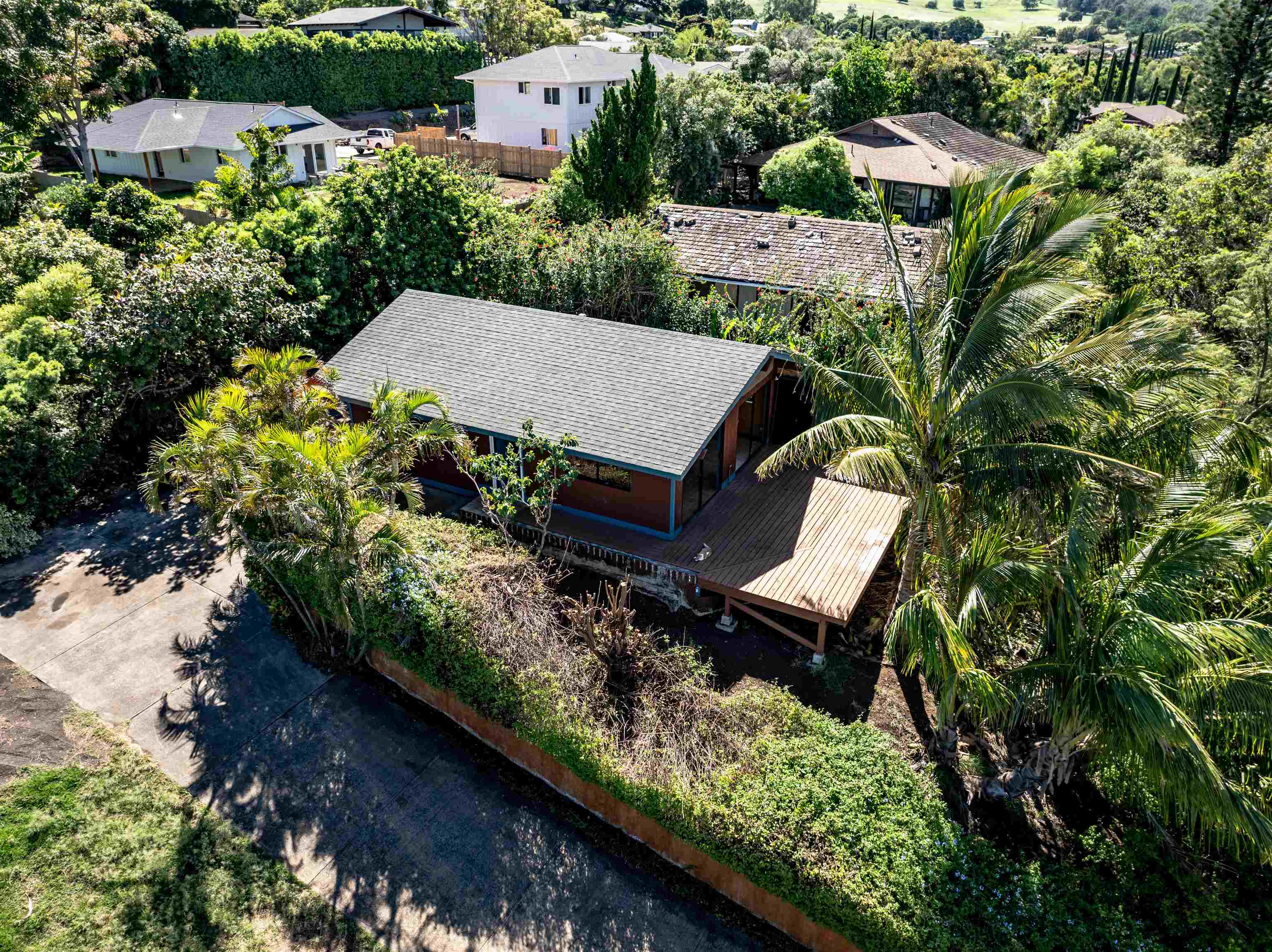 675  Hoene St Makawao, Makawao/Olinda/Haliimaile home - photo 22 of 23