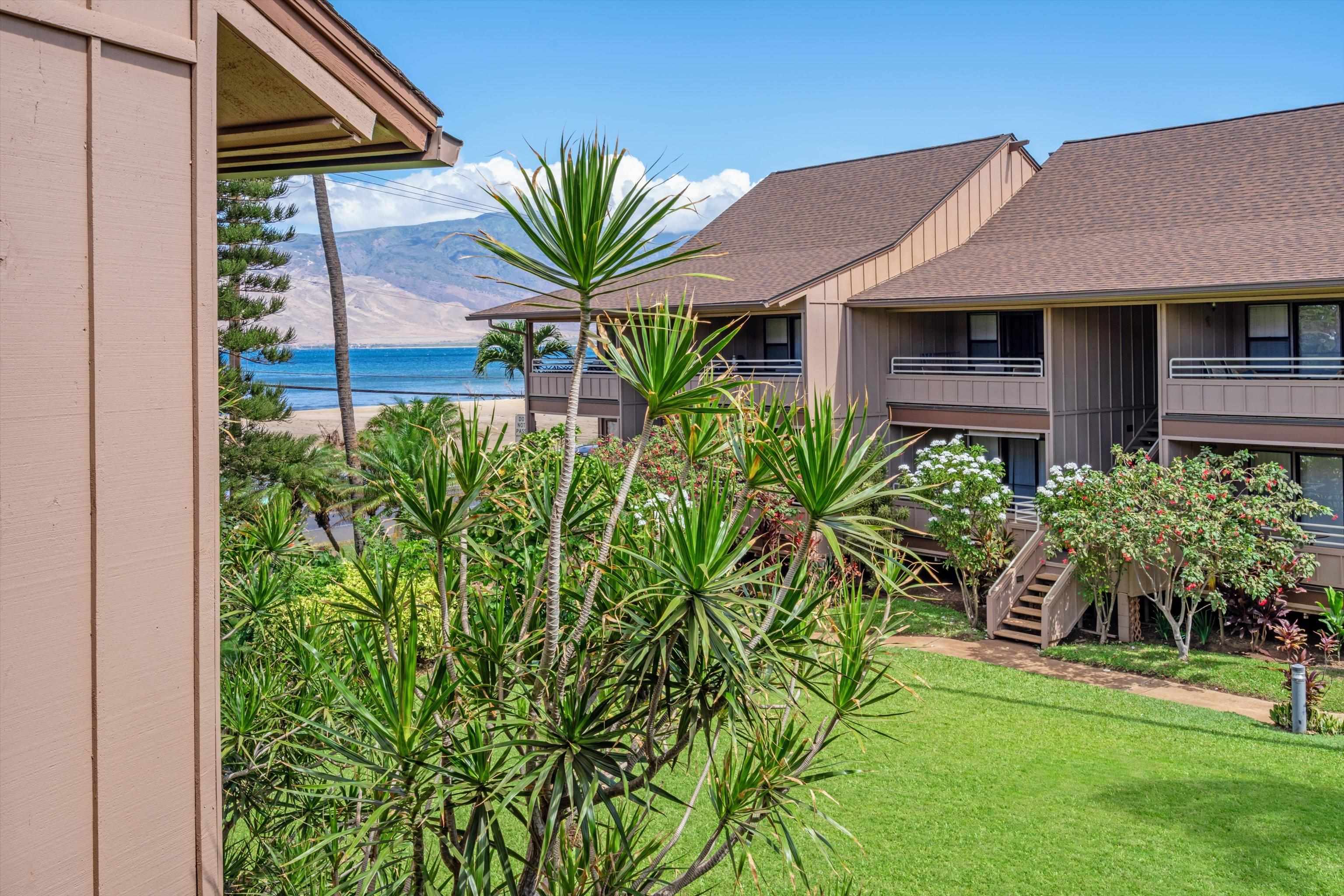 Kihei Bay Vista condo # A202, Kihei, Hawaii - photo 2 of 41